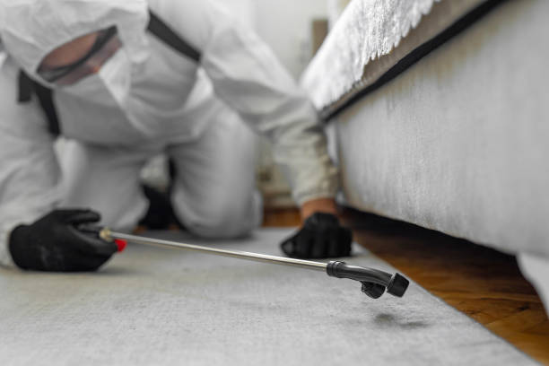 Professional Pest Control technician working in Hildebran, NC