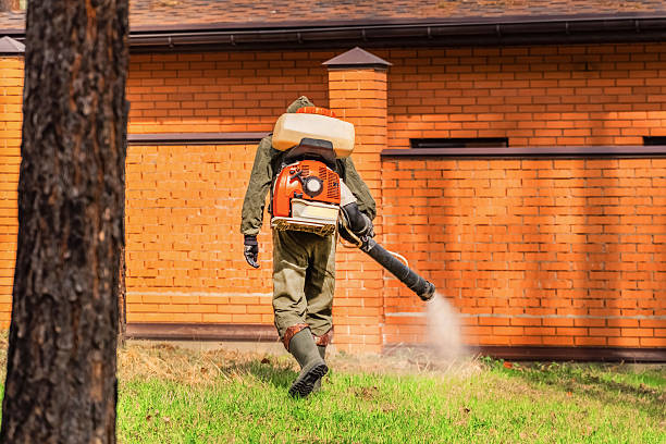 Trusted Termite Control service in Hildebran, NC - Nex Pest Control